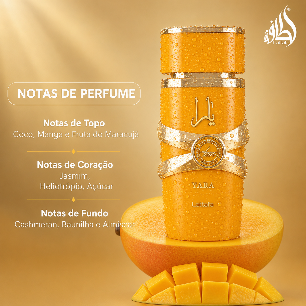YARA TOUS
