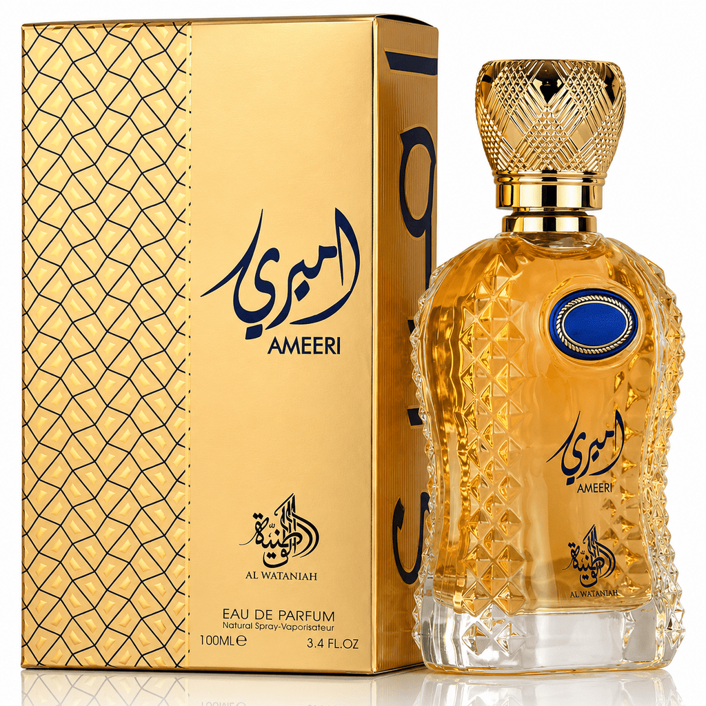 AMEERI